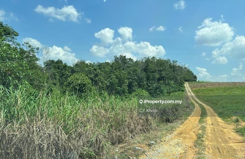 Agricultural Land for Sale in Kempas, Johor Bahru by CY Khoo - iProperty.com.my
