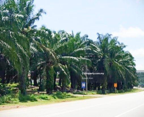 Tanah Pertanian untuk Dijual di Taman Gua Musang, Gua Musang oleh Edwin Kon - iProperty.com.my