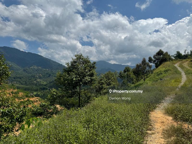 Agricultural Land for Sale in Bandar Tras, Raub by Damon Wong - iProperty.com.my