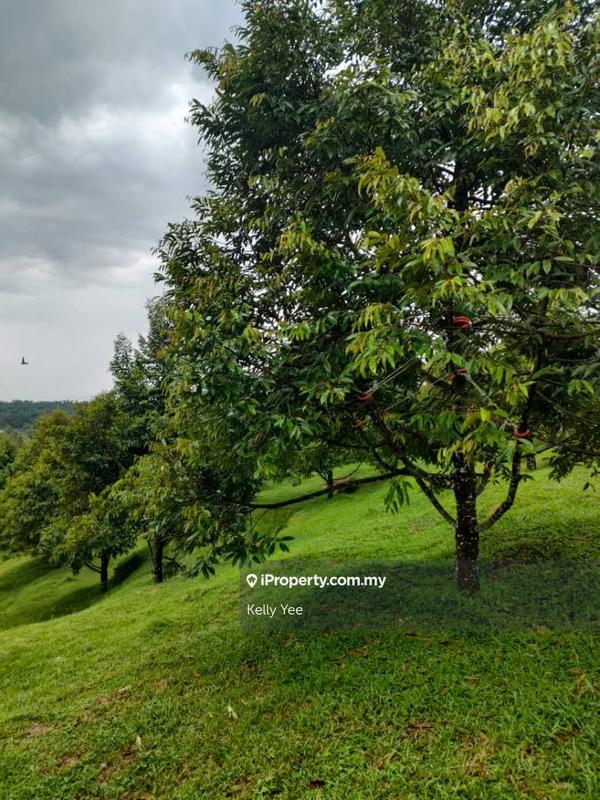 Tanah Pertanian untuk Dijual di Kampung Sungai Terap, Serdang oleh Kelly Yee - iProperty.com.my