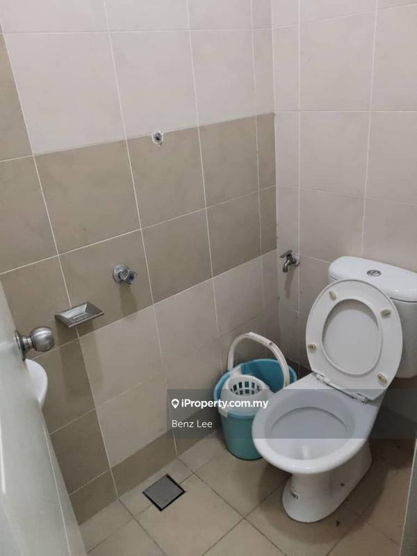 For Sale - Rafflesia