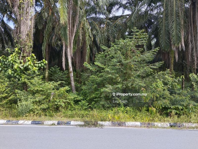 Residential Land for Sale in Jenderam Hulu, Sepang by Eric Teoh - iProperty.com.my