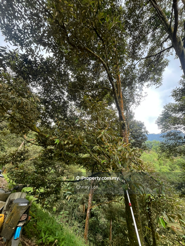 Tanah Pertanian untuk Dijual di Kawasan Perindustrian Bentong, Bentong oleh Christy Loh - iProperty.com.my