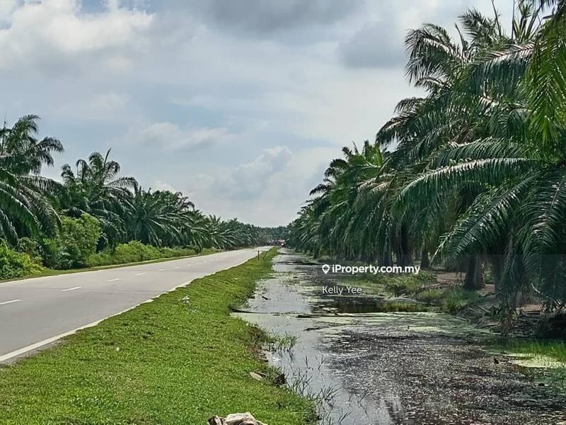 Tanah Pertanian untuk Dijual di Nibong Tebal, Penang oleh Kelly Yee - iProperty.com.my