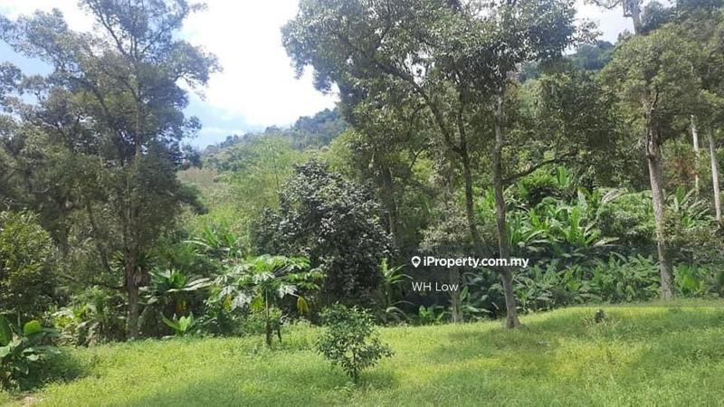 Industrial Land for Sale in Bayan Lepas, Penang, Bayan Lepas by WH Low - iProperty.com.my