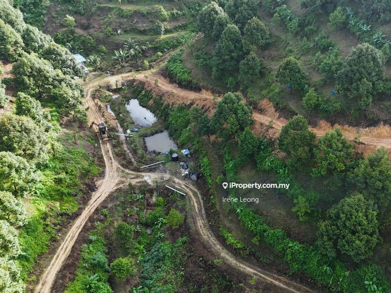 Tanah Pertanian untuk Dijual di Karak, Pahang oleh Irene Leong - iProperty.com.my