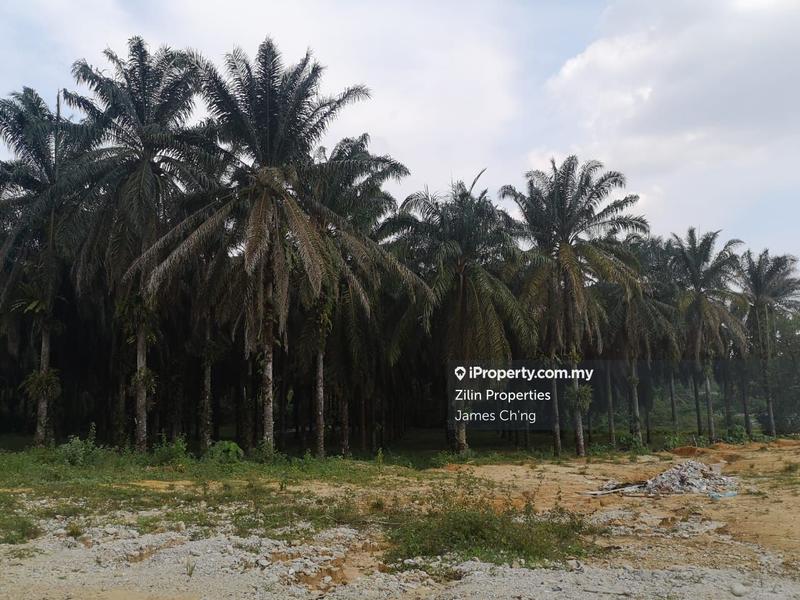 Tanah Perindustrian untuk Dijual di sungai buloh, Rawang oleh James Ch'ng - iProperty.com.my