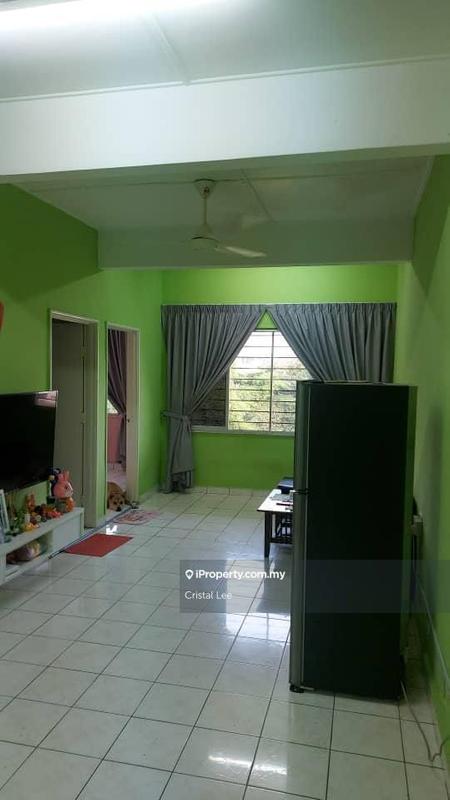 For Sale - Sri Begonia