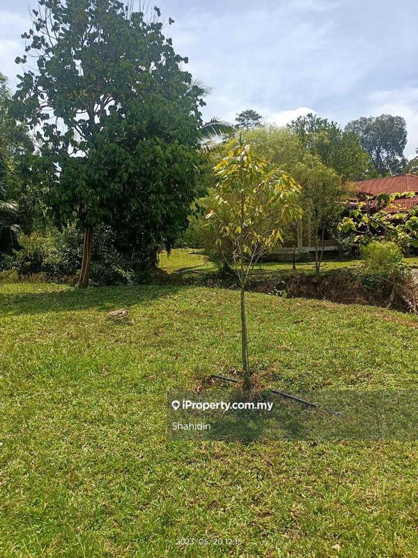 Banglo Tanah untuk Dijual di Linggi, Port Dickson oleh Shahidin - iProperty.com.my