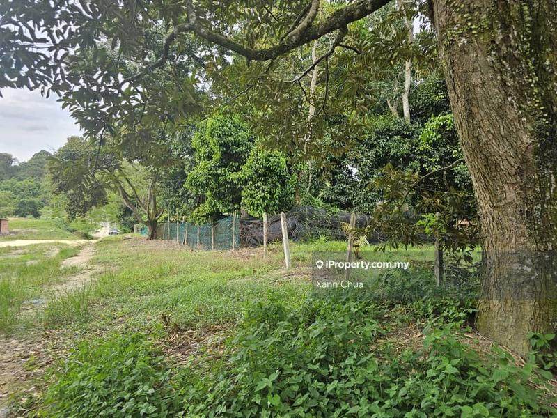Agricultural Land for Sale in Taman Bemban Baru, Bemban by Xann Chua - iProperty.com.my