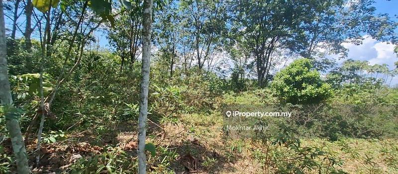 Tanah Kediaman untuk Dijual di Setia Ecohill, Semenyih oleh Mokhtar Akhir - iProperty.com.my
