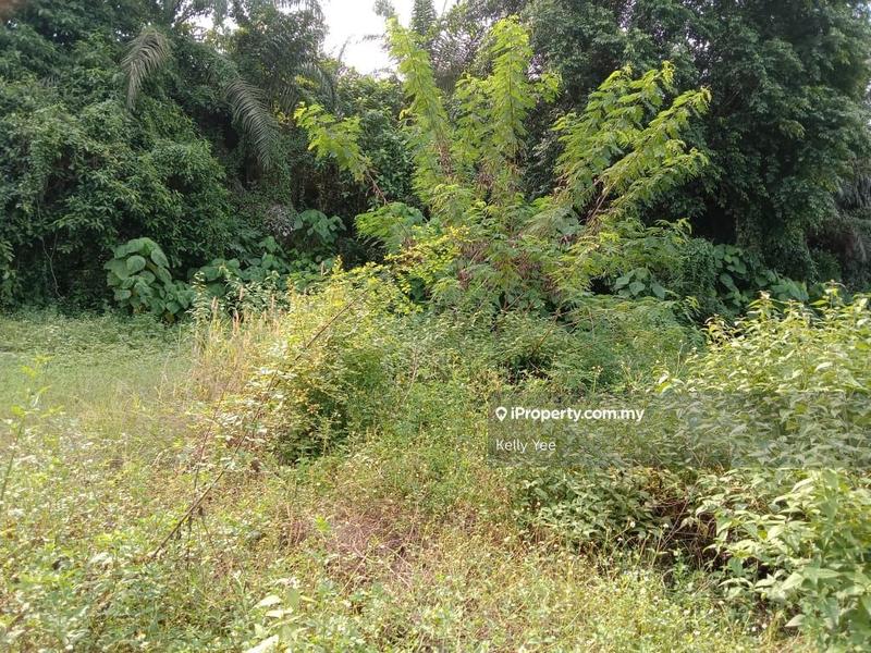 Agricultural Land for Rent in Agriculture Land along Jalan Kulim, Bukit Mertajam by Kelly Yee - iProperty.com.my