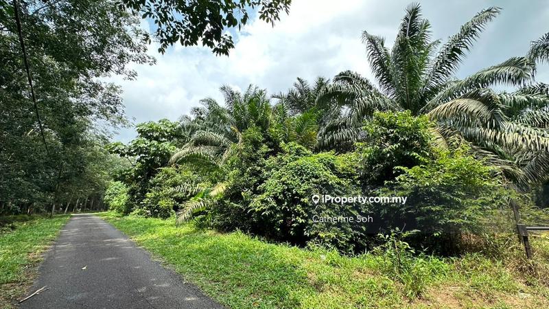 For Sale - Air Panas Bemban Jasin Agriculture Oil Palm Land 16 acres