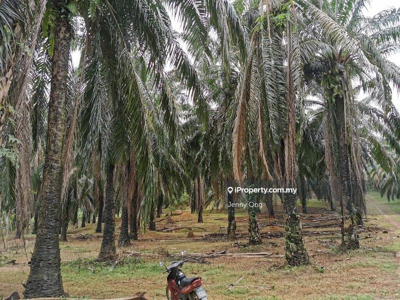 Residential Land for Sale in Bandar Puteri Jaya, Sungai Petani by Jenny Ong - iProperty.com.my