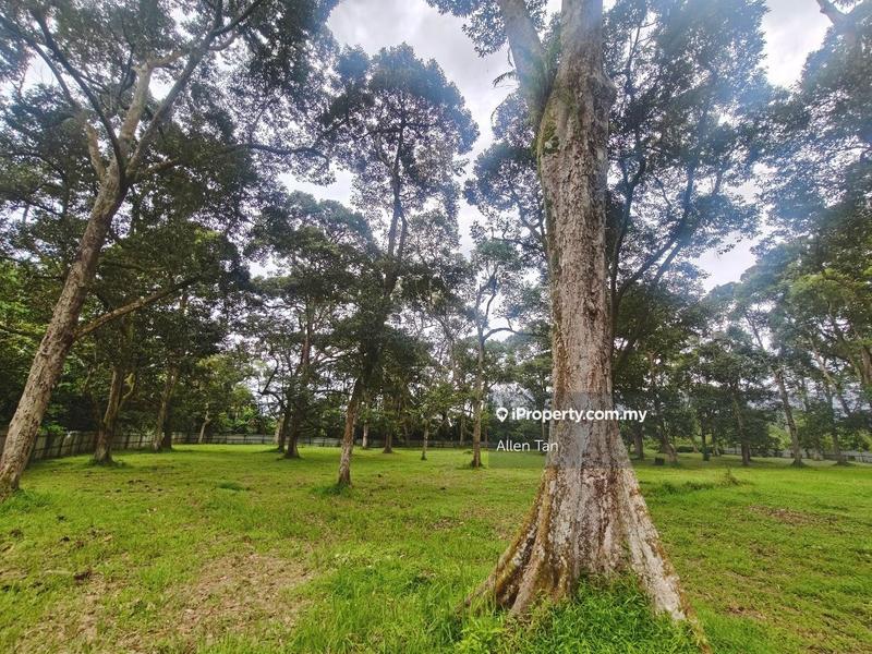 Tanah Pertanian untuk Dijual di Nearby Taman Utama, Pekan Nanas oleh Allen Tan - iProperty.com.my