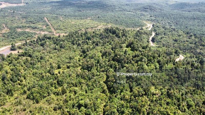 Agricultural Land for Sale in Kuala Rompin, Pahang by Huda - iProperty.com.my