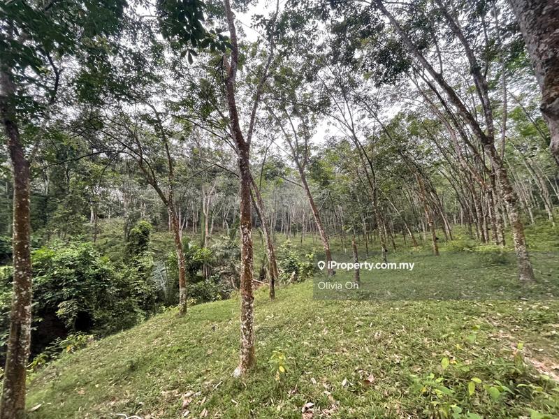 Agricultural Land for Sale in Taman Angsamas, Rasah by Olivia Oh - iProperty.com.my