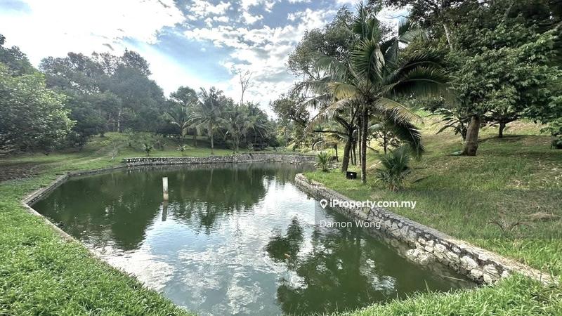 Agricultural Land for Sale in Tras, Raub by Damon Wong - iProperty.com.my