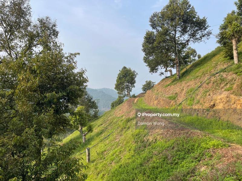 Tanah Pertanian untuk Dijual di Sungai Chetang, Raub oleh Damon Wong - iProperty.com.my