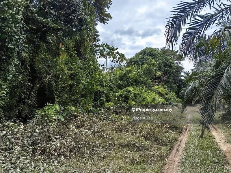 Tanah Pertanian untuk Dijual di Bandar Baru Temerloh, Temerloh oleh Vincent Tee - iProperty.com.my