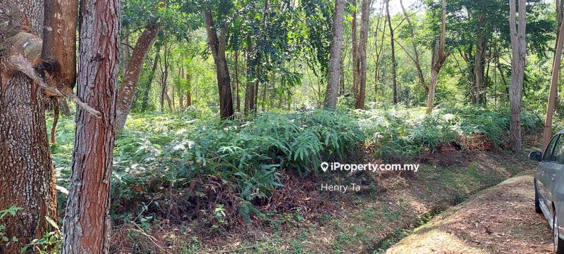 Bungalow Land for Sale in Bukit Tinggi, Bentong by Henry Ta - iProperty.com.my