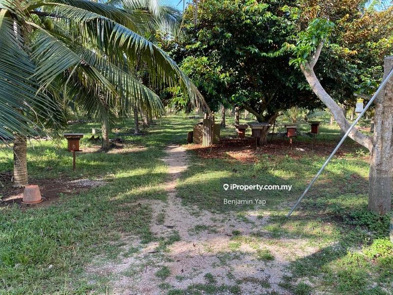 Agricultural Land for Sale in Panchor, Durian Tunggal by Benjamin Yap - iProperty.com.my
