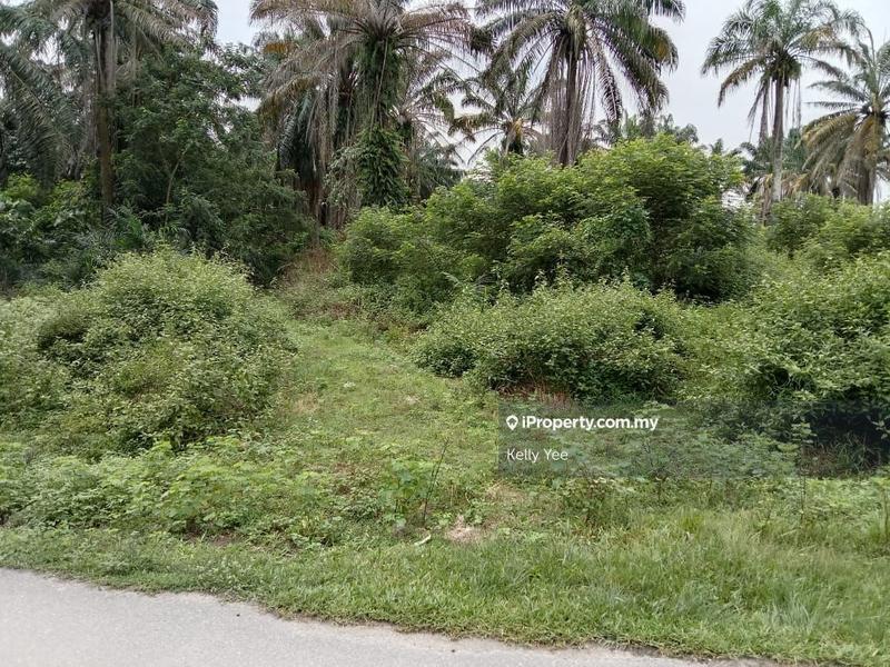 For Sale - Agriculture Land in Bandar Tasek Mutiara for Sale