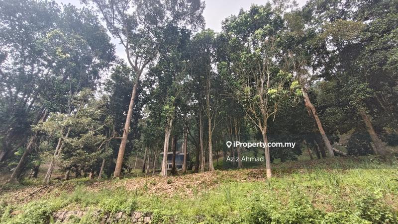Tanah Pertanian untuk Dijual di Pekan Batu 14, Hulu Langat oleh Aziz Ahmad - iProperty.com.my