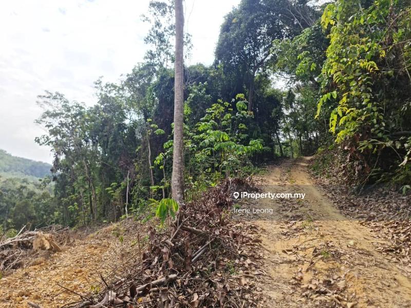 Agricultural Land for Sale in Karak, Pahang by Irene Leong - iProperty.com.my