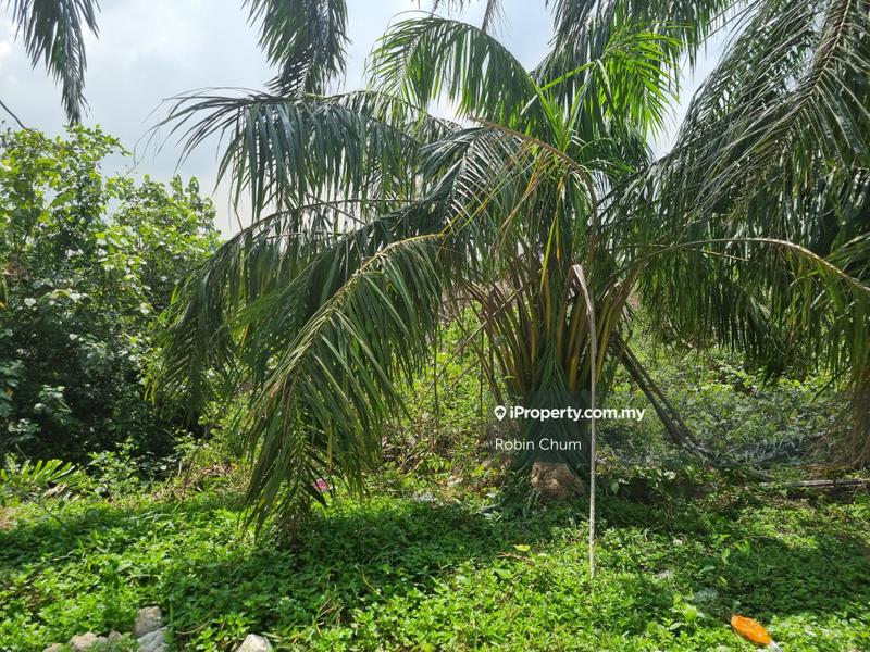 Tanah Pertanian untuk Dijual di Banting, Banting oleh Robin Chum - iProperty.com.my