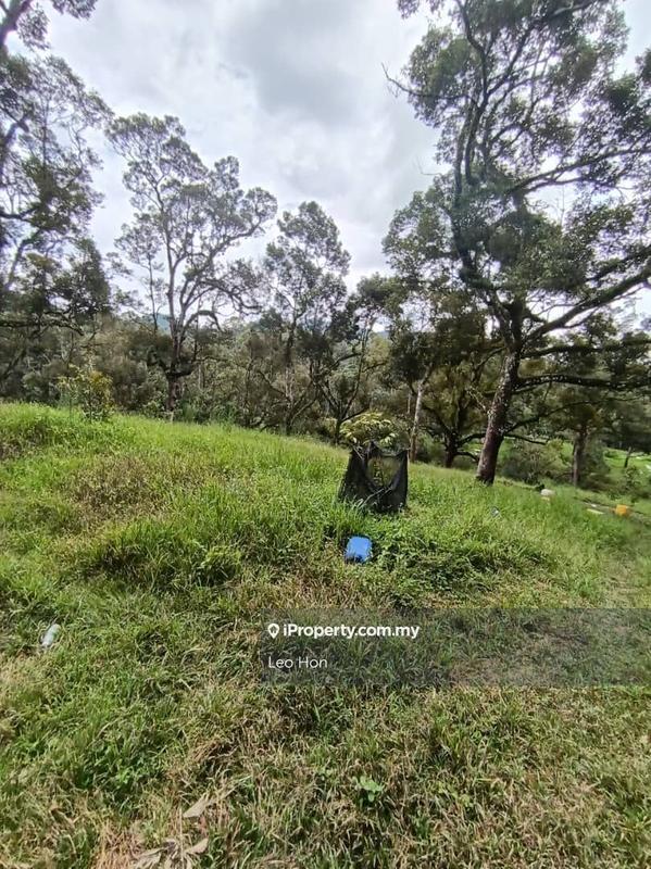 Agricultural Land for Sale in MANTIN, Seremban by Leo Hon - iProperty.com.my