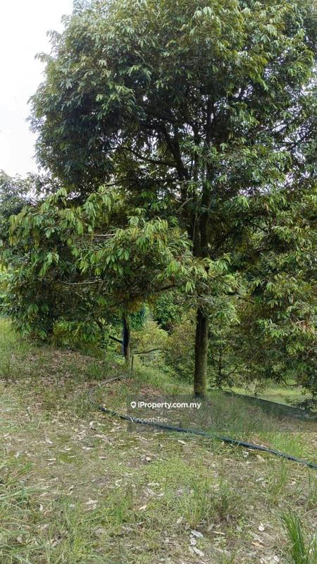 Agricultural Land untuk Dijual di Bandar Raub Perdana, Raub oleh Vincent Tee - iProperty.com.my
