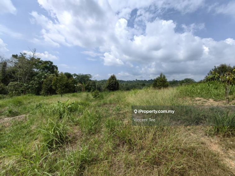 Tanah Pertanian untuk Dijual di Bandar Raub Perdana, Raub oleh Vincent Tee - iProperty.com.my