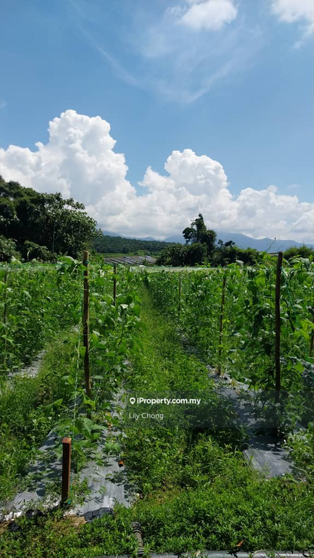 Agricultural Land for Sale in jap7s, Bidor by Lily Chong - iProperty.com.my