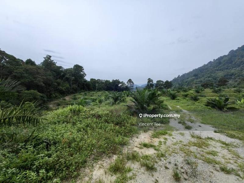 Tanah Pertanian untuk Dijual di Kampung Renal, Kuala Klawang oleh Vincent Tee - iProperty.com.my