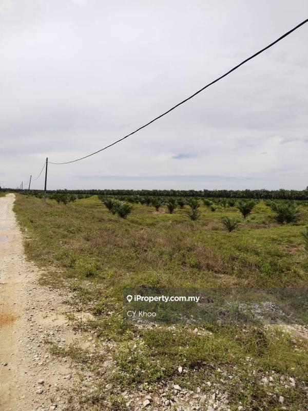 Tanah Pertanian untuk Dijual di Perak Tengah Jaya Baru Sitiawan 32000 Lekir, Sitiawan oleh CY Khoo - iProperty.com.my