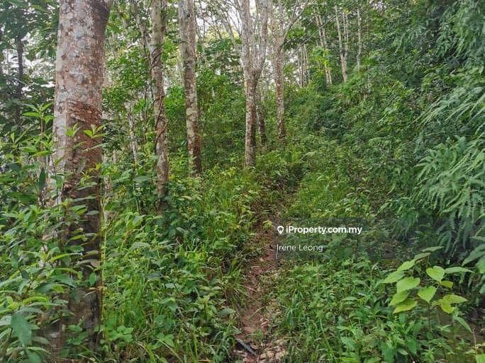 Agricultural Land for Sale in Bandar Tras, Raub by Irene Leong - iProperty.com.my