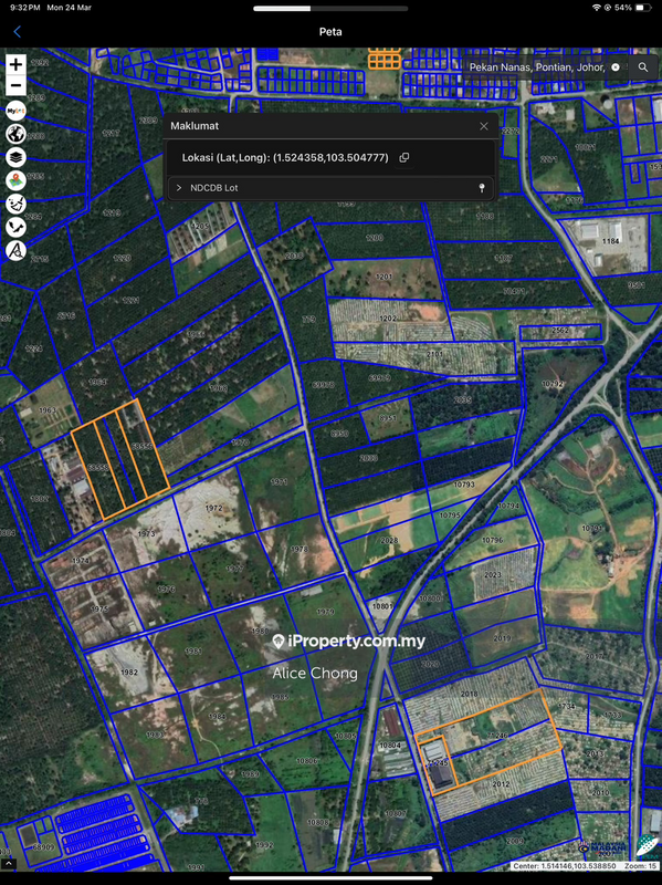 For Sale - Pekan Nanas