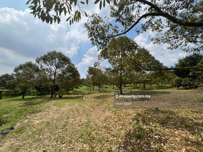 Tanah Pertanian untuk Dijual di Senai, Johor oleh Alvin Seah - iProperty.com.my