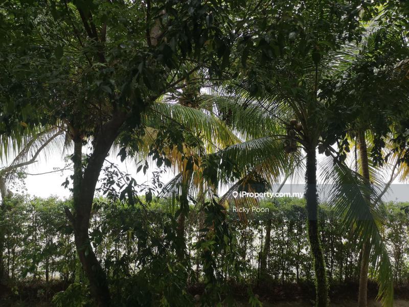 Rumah Teres 2.5-Tingkat untuk Dijual di Seri Tanjung Pinang, Tanjung Tokong oleh Ricky Poon - iProperty.com.my