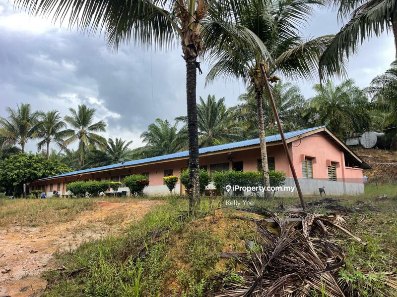 Agricultural Land for Sale in Palm Oil Plantation @ Ulu Lepar, Kuantan for Sale, Kuantan by Kelly Yee - iProperty.com.my