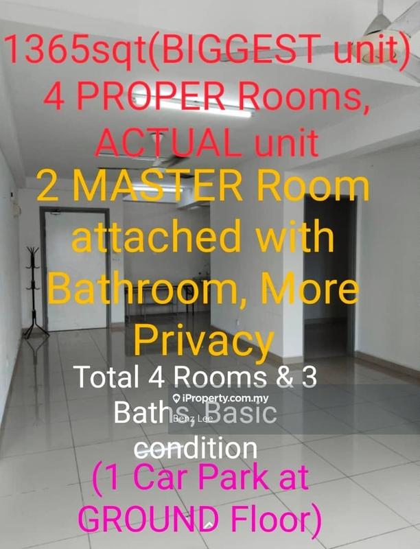 For Sale - Rafflesia