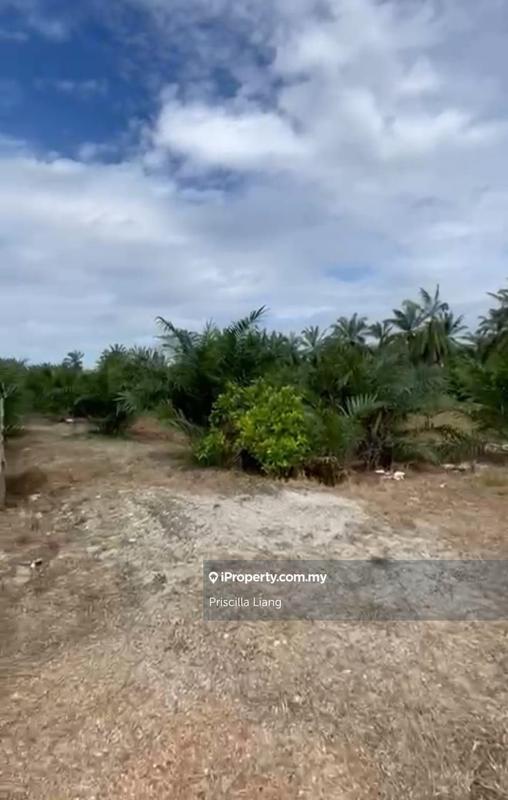 For Sale - Banting, Tanjung Dua Belas, Jalan Cenderawasih