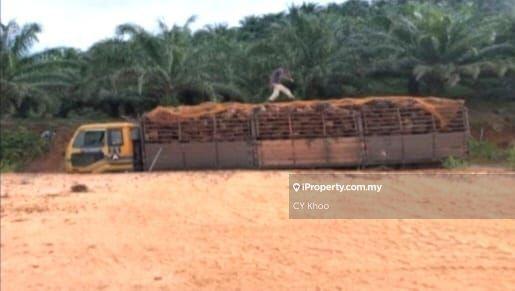 Tanah Pertanian untuk Dijual di Taman Gua Musang, Gua Musang oleh CY Khoo - iProperty.com.my