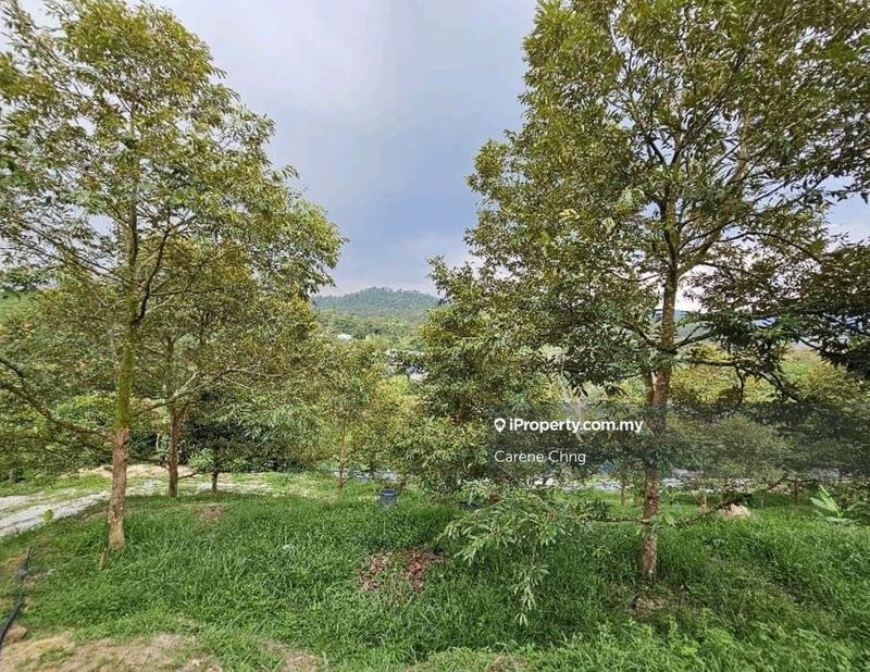 Agricultural Land for Sale in Hulu Langat, Selangor by Carene Chng - iProperty.com.my