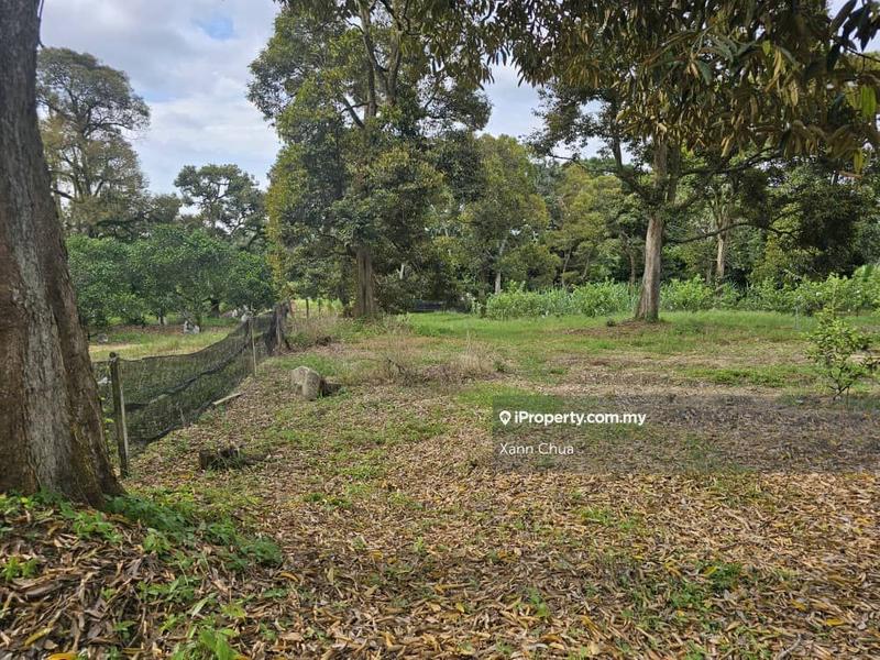 Agricultural Land for Sale in Taman Bemban Baru, Bemban by Xann Chua - iProperty.com.my