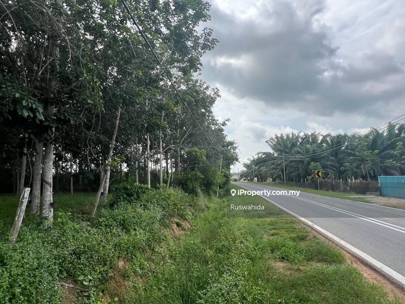 Agricultural Land for Sale in Asun, Jitra by Ruswahida - iProperty.com.my