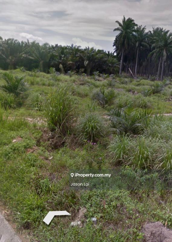 Agricultural Land for Sale in Bukit Robinson, Ijok by Jason Lai - Exterior - iProperty.com.my