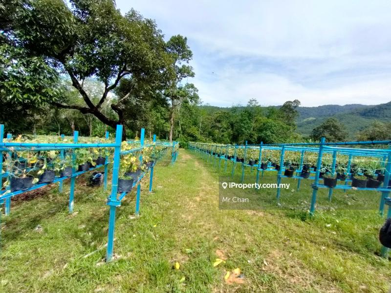 Tanah Pertanian untuk Dijual di Hulu Semenyih, Semenyih oleh Mr Chan - iProperty.com.my