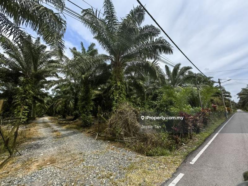 Tanah Pertanian untuk Dijual di Pekan Nanas, Johor oleh Jessie Tan - iProperty.com.my
